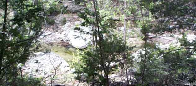 Blassingame Creek 2004