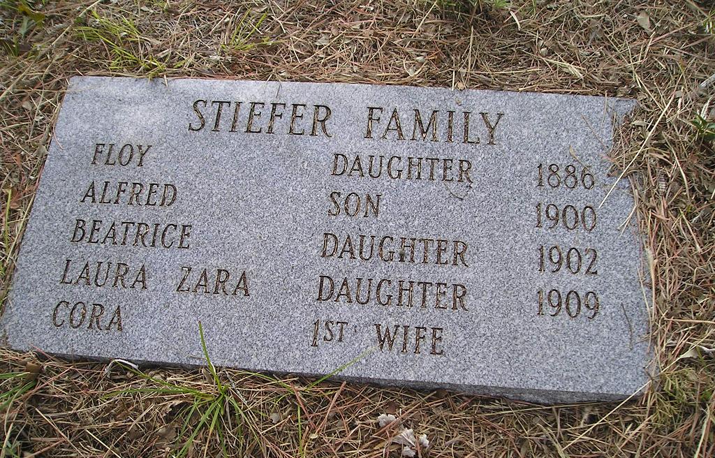 Steifer Family