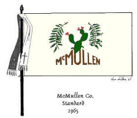 Picture of the McMullen County Standard county flag.