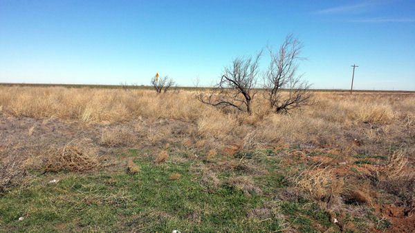 Antelope Cemetery, Floyd County, Texas