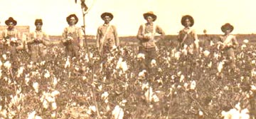 Unknown folks, Taylor County, TXGenWeb